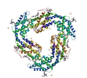 B-Phycoerythrin (B-PE) Fluorescent Protein (10mg:  Part B-PE-FIVE)